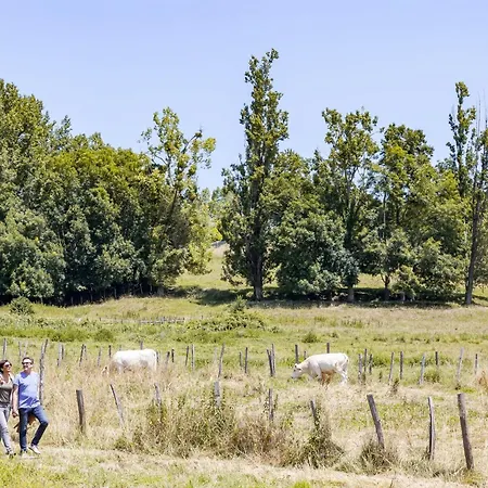 Plaine Et Colline Et Tables D'hotes Isere